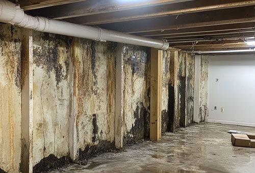 A basement with exposed ceiling beams, water-damaged concrete floor, and walls covered in extensive black mold and mildew—an ideal candidate for Basement Mold Removal Toronto. A white pipe runs along the ceiling; a cardboard box sits in the back corner.