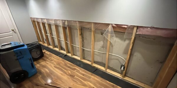 A room with a section of drywall removed exposes wooden wall studs, electrical wiring, and insulation. The floor has wood planks, and a blue dehumidifier is placed to the left—often necessary when hidden mold behind baseboards is discovered.