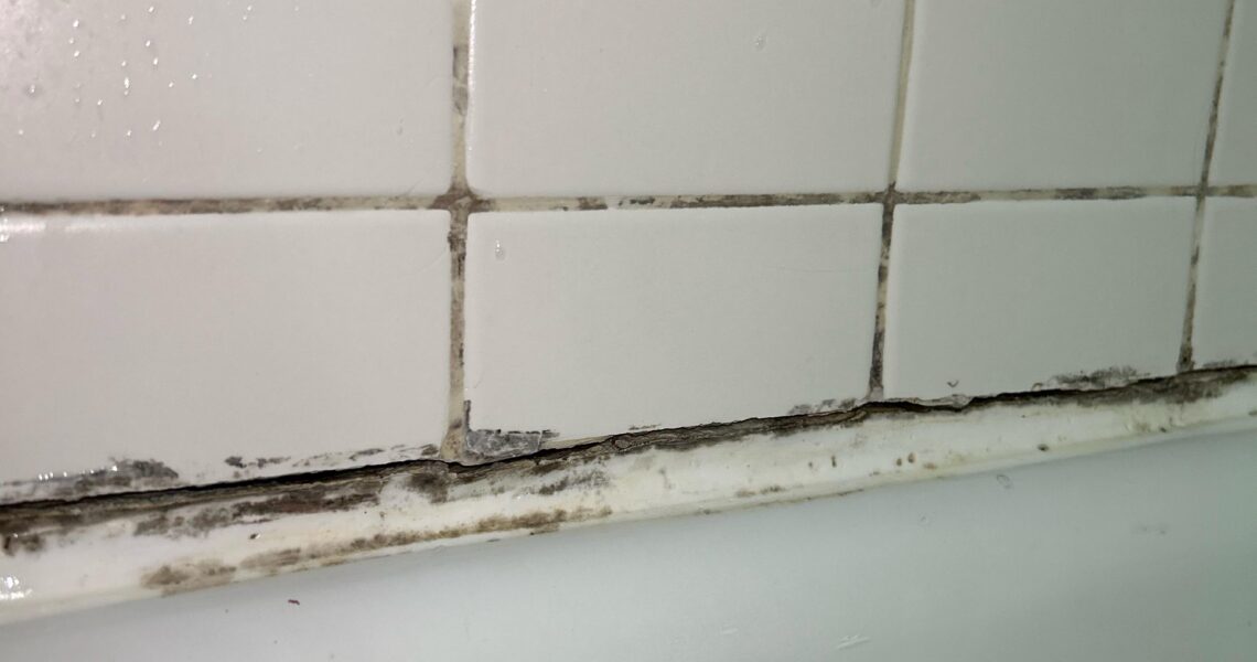 Bathroom mold removal Barrie close-up of black mold and mildew buildup along grout lines above a bathtub.