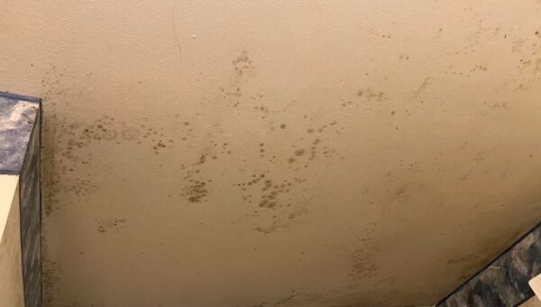 A beige bathroom ceiling with scattered dark mold spots, surrounded by wallpaper border with a blue and gray marbled pattern.