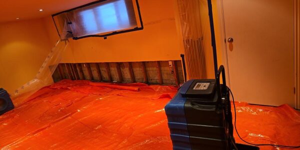 A room with orange plastic covering the floor, exposed wall studs, and a plastic sheet taped over a window. A blue dehumidifier is plugged in for mold remediation Richmond Hill. Ceiling lights are on.