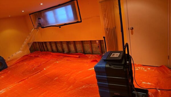 A room with orange plastic covering the floor, exposed wall studs, and a plastic sheet taped over a window. A blue dehumidifier is plugged in for mold remediation Richmond Hill. Ceiling lights are on.