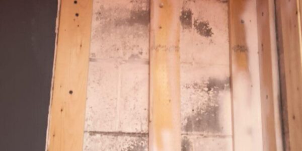 A wall with exposed cinder blocks and wooden framing strips, showing signs of discoloration and possible water damage. The ceiling above has an open panel, revealing a dark cavity.