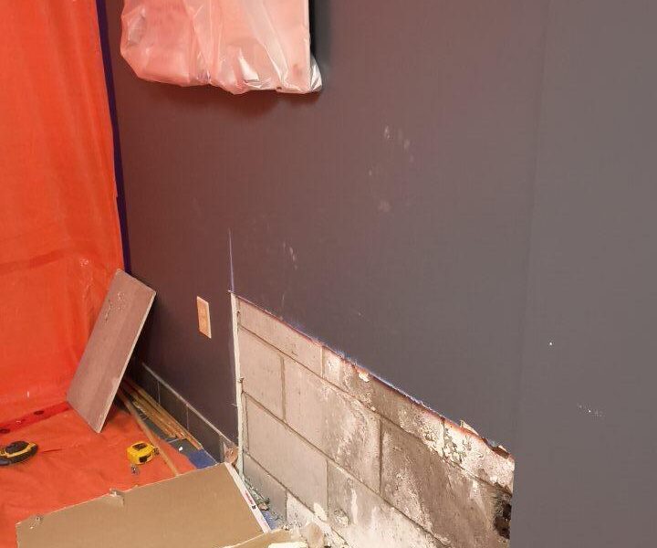 commercial mold remediation Scarborough wall cavity removal