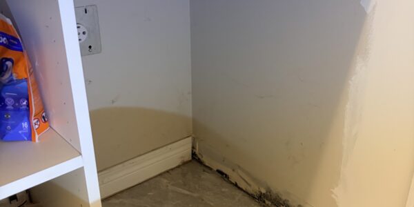 Exposed lower wall with black mold growth at the base, under a bathroom or laundry counter. Cleaning supplies are visible on the counter and shelf nearby—ideal for Mold Remediation Oakville. The floor is light-colored tile.