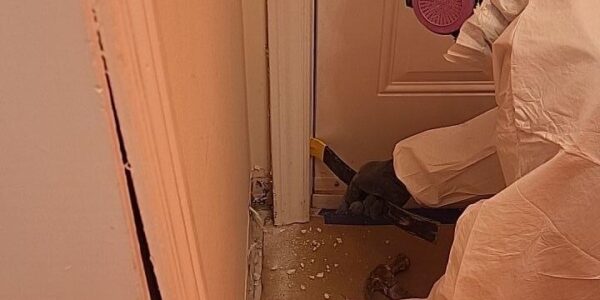 A person in a white hazmat suit and respirator mask uses tools to remove a section of baseboard near a closed door, working carefully on the floor during mold remediation in Oakville.