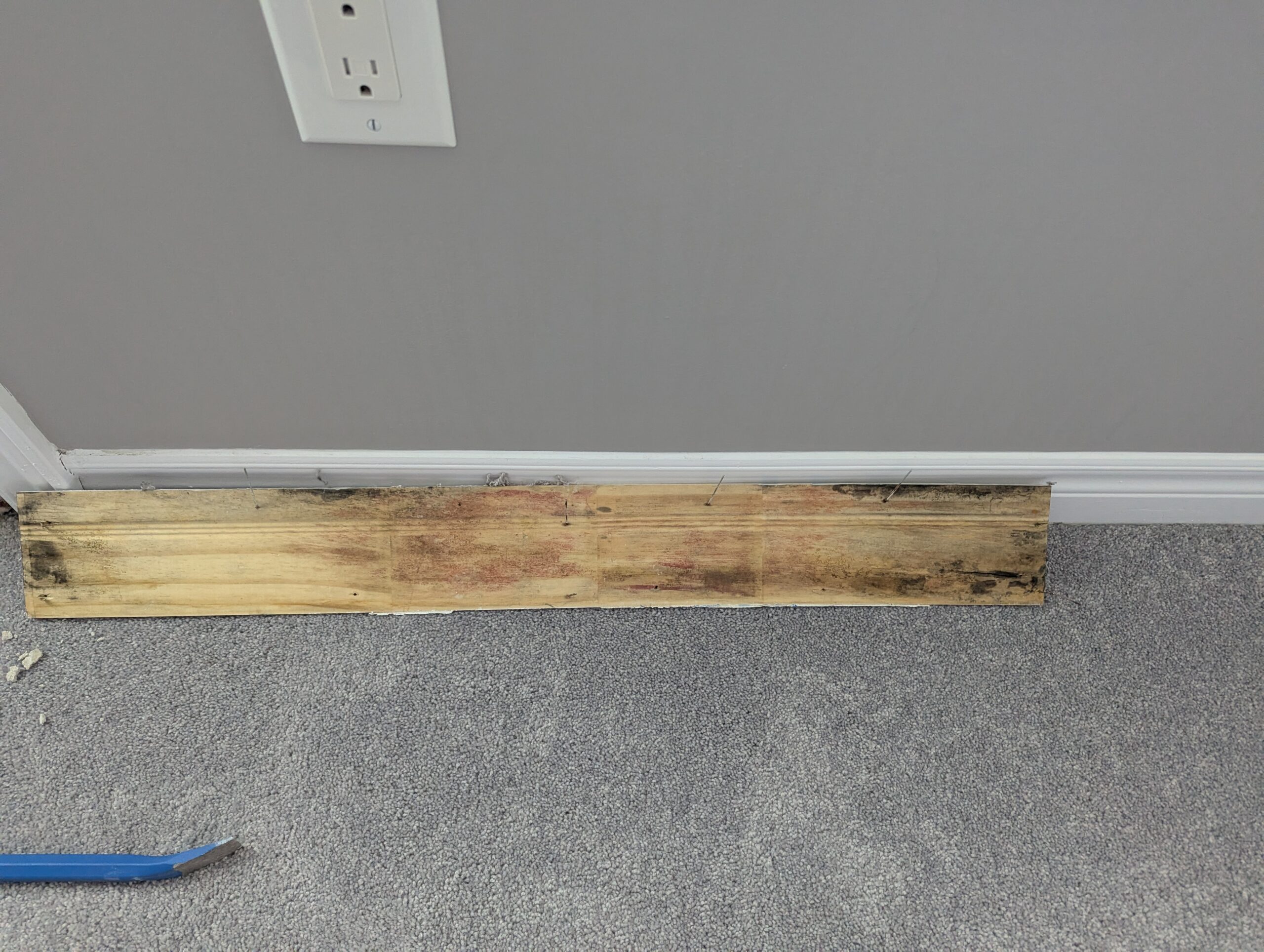 Balcony door mold Hamilton contamination found behind removed baseboards.