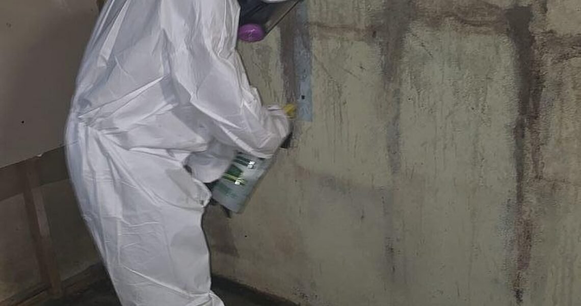 A person in a white hazmat suit and mask sprays cleaner on a moldy, stained wall in a dim, unfinished room. A bottle of cleaning solution is on the floor nearby.