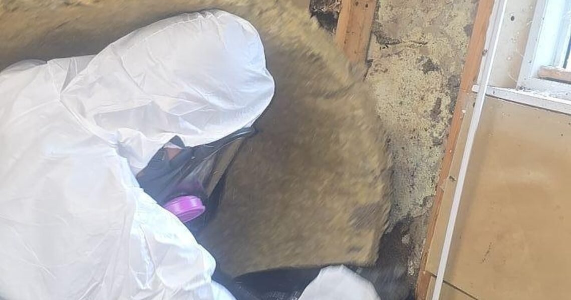 A person in protective gear removes insulation from a wall in a partially renovated room, exposing wooden studs and possible mold.