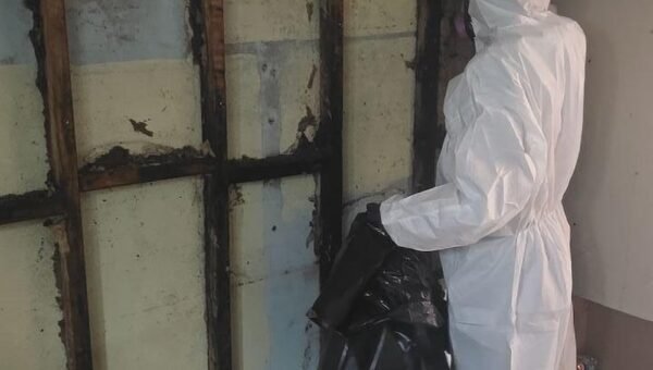 A person in a white hazmat suit cleans a damaged wall with exposed studs and mold, holding a black trash bag in a room under restoration.